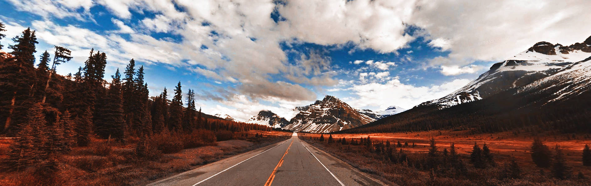 SEA-WEED TOUR AT JAMBIANI